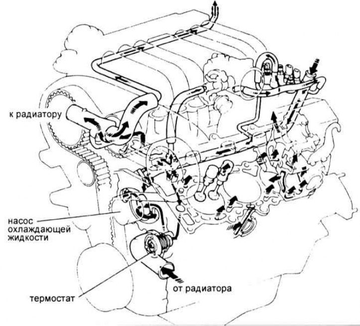 Схема циркуляции охлаждающей жидкости (двигатель 2UZ-FE) .