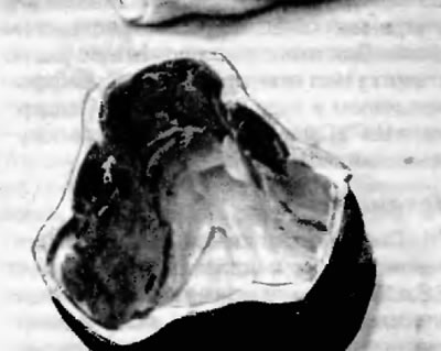 Рис. 3.10, в. Заполните смазкой нижнюю часть корпуса ШРУСа