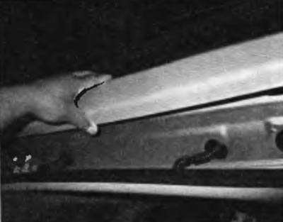 Рис. 19.9. Снимите панель отделки с верхнего внутреннего края двери багажного отделения, чтобы…